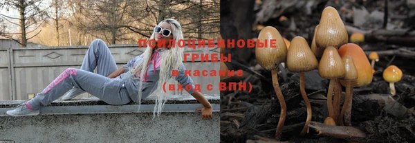 jwh Новокубанск